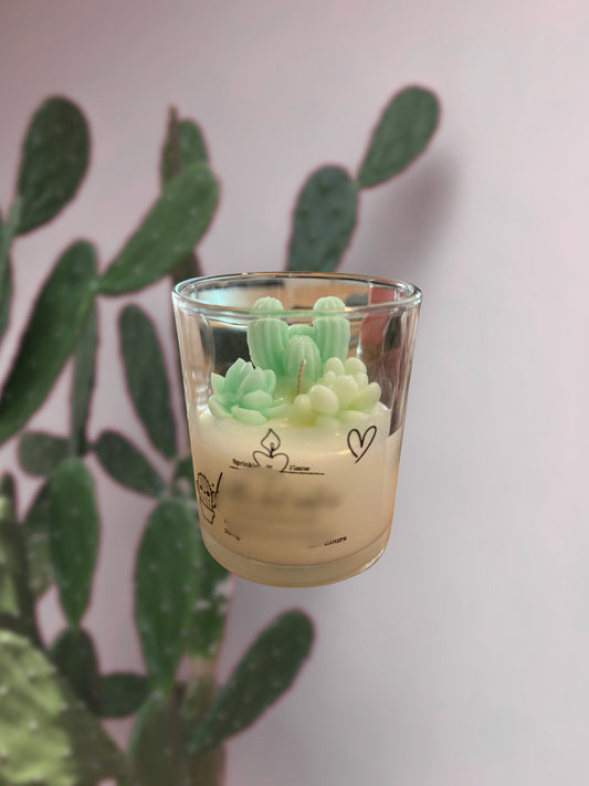 Little Cactus Candle